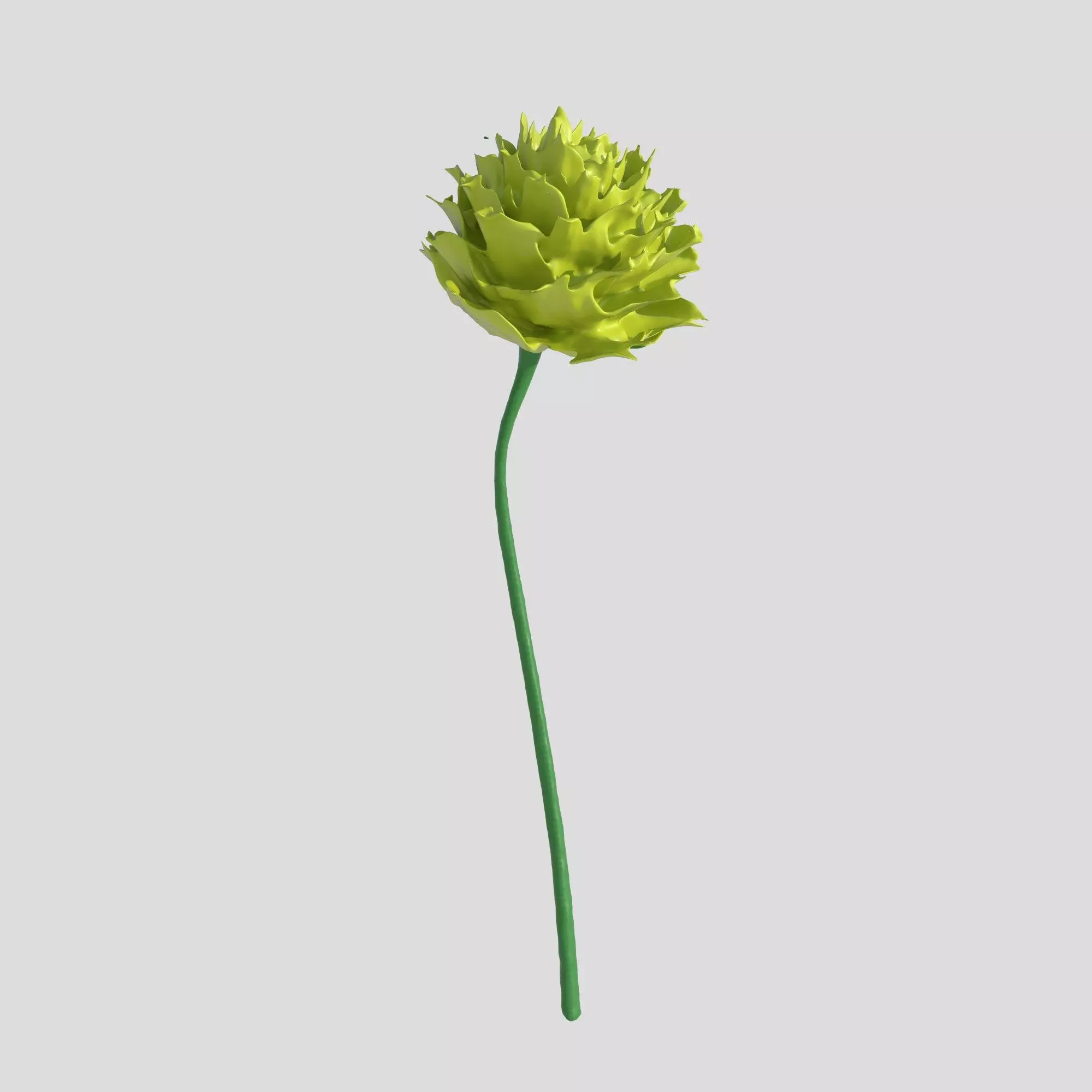 Flower Free 3D model