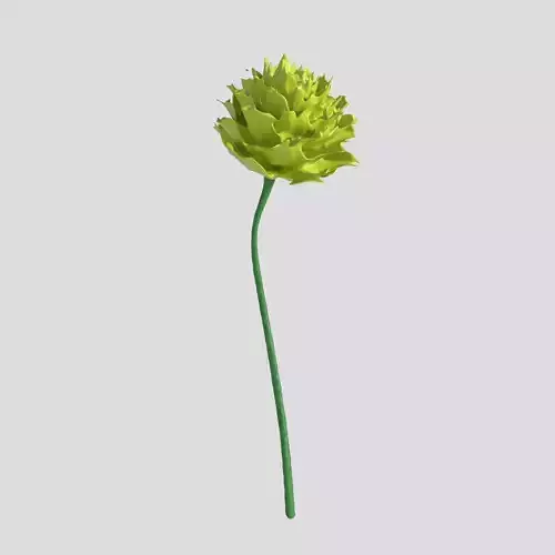 Flower Free 3D model