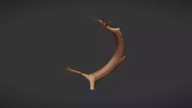 curved tree branch