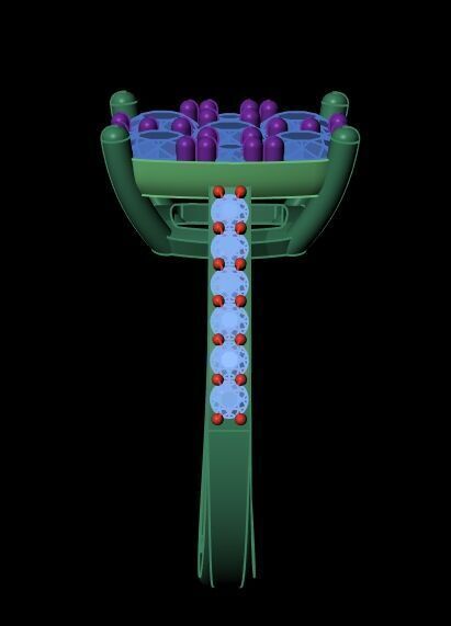 Diamond Ring 028 3D print model_9