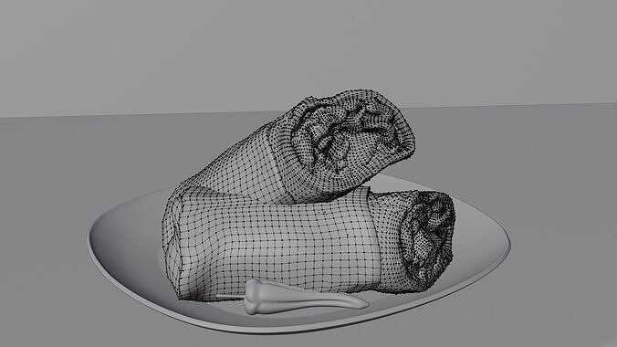 Realistic Shawarma Wrap 3D Model 3D model 6