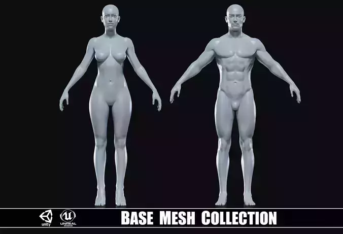 Realistic Athletic Human Body Base Mesh 3D Model Collection