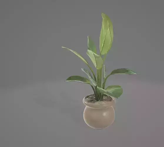 Stylized Potted Plant Versatile for Interior and Exterior Scenes