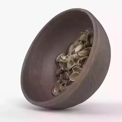 Photorealistic 3D scan of Bowl plate with nut shells