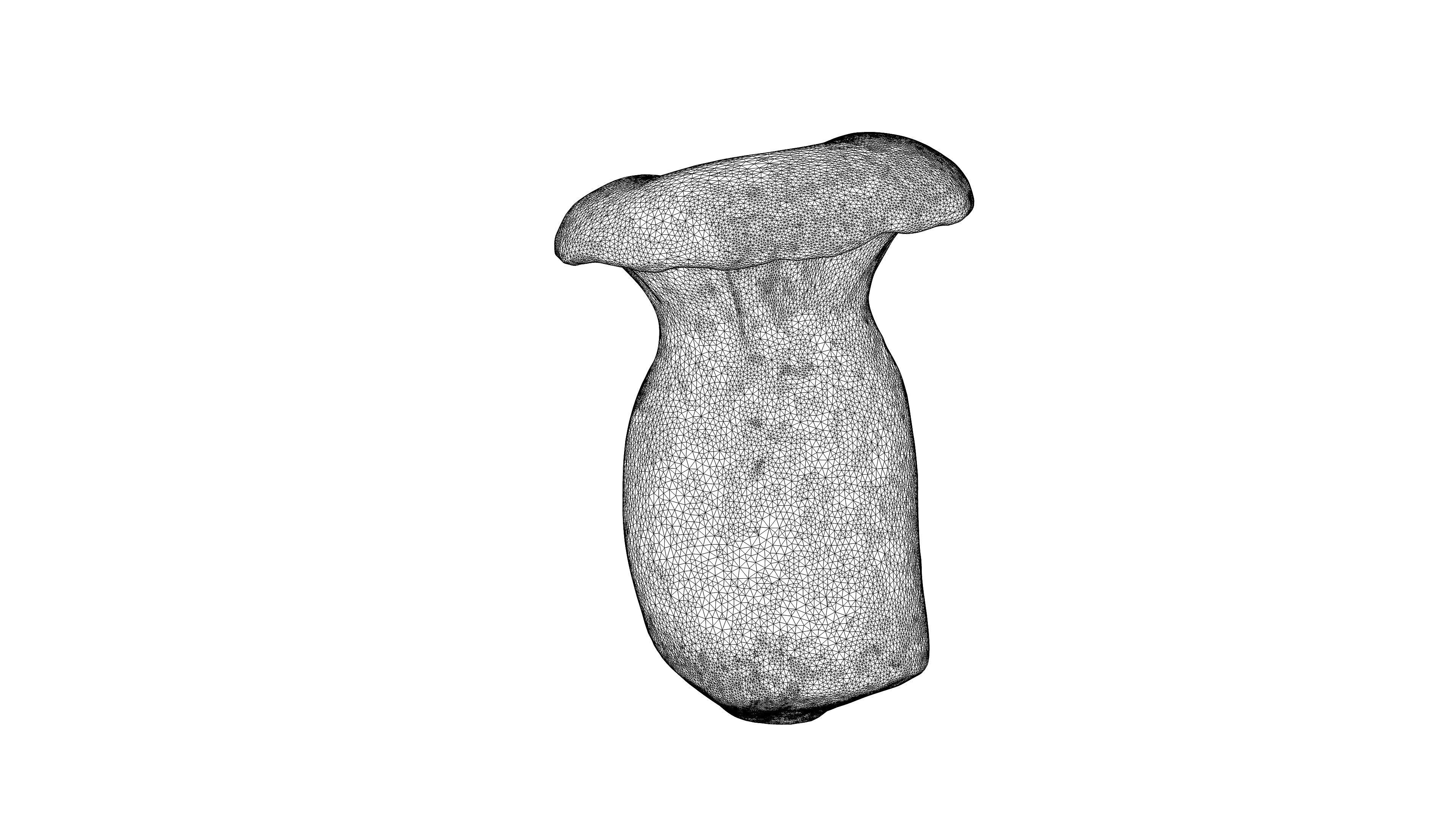 Photorealistic 3D scan of mushrooms 3D Model Collection_16