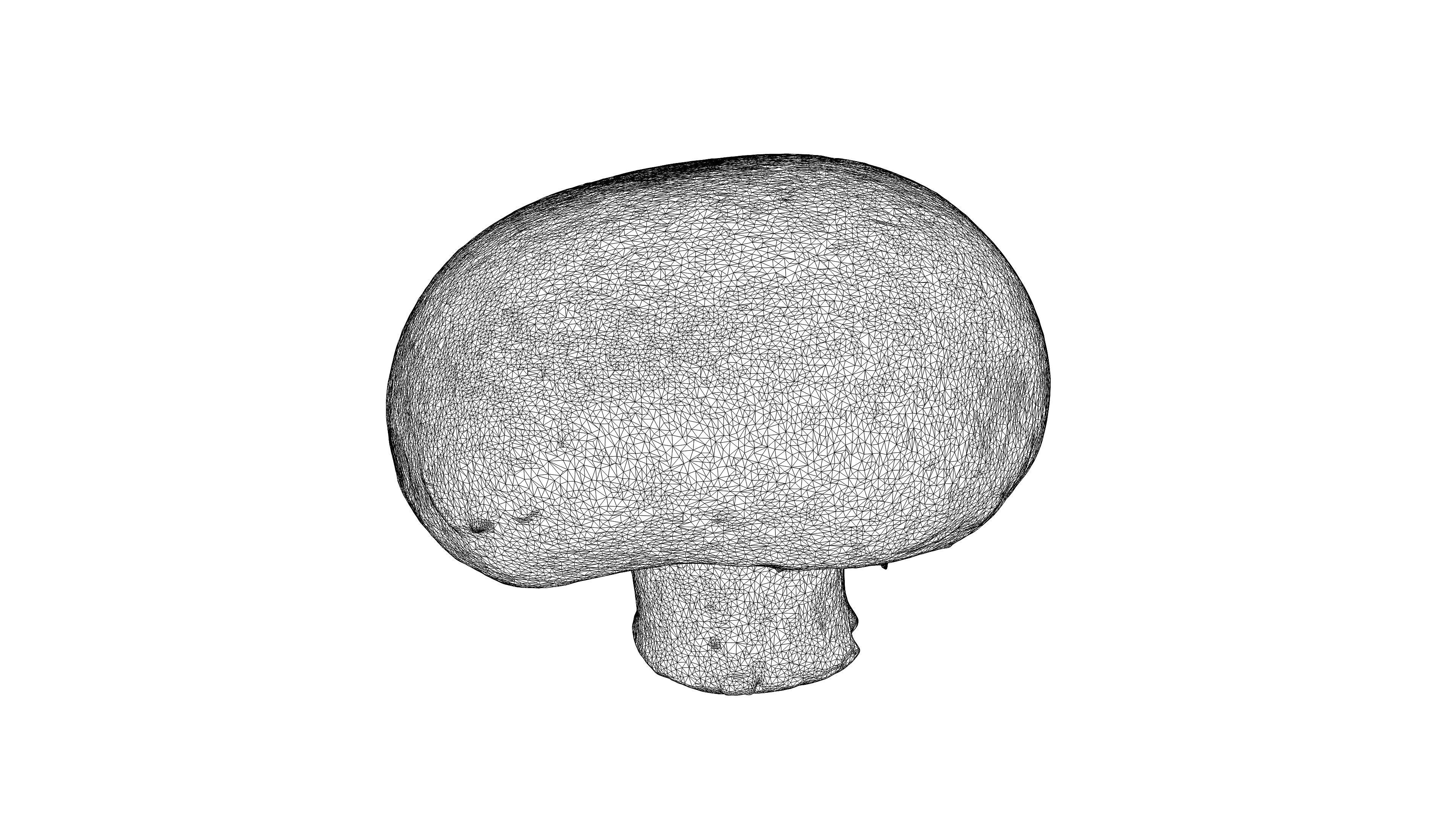 Photorealistic 3D scan of mushrooms 3D Model Collection_12