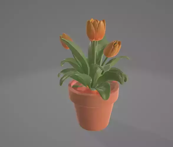 Realistic Potted Flower-3DModel for Interior and Exterior Scenes