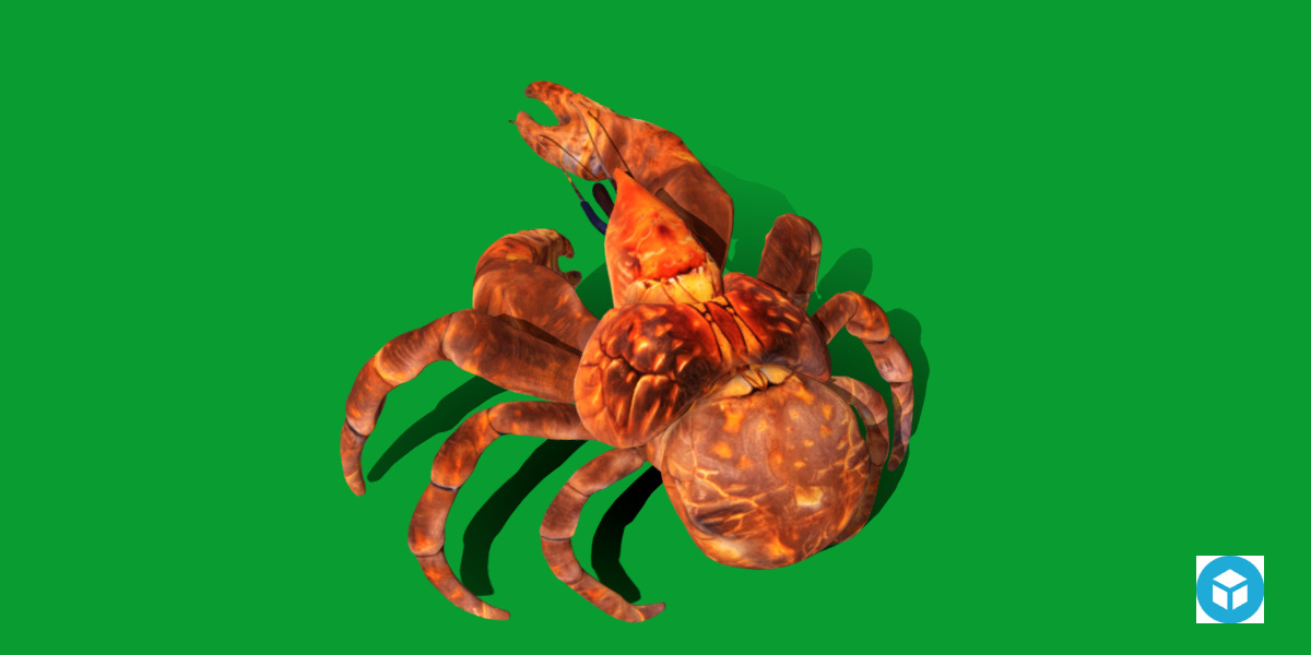 Coconut Crab Low-poly 3D model_29