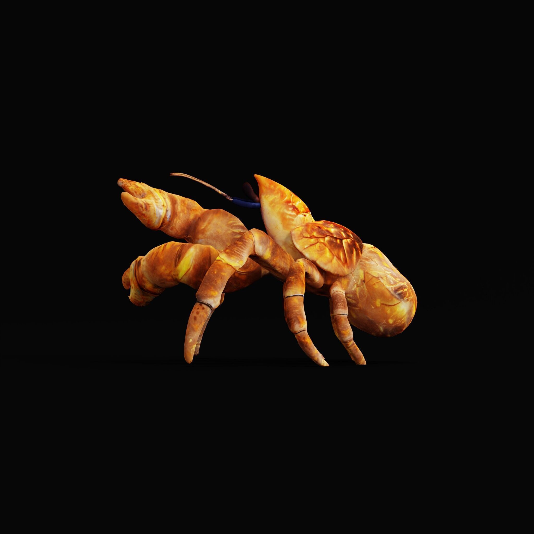 Coconut Crab Low-poly 3D model_40