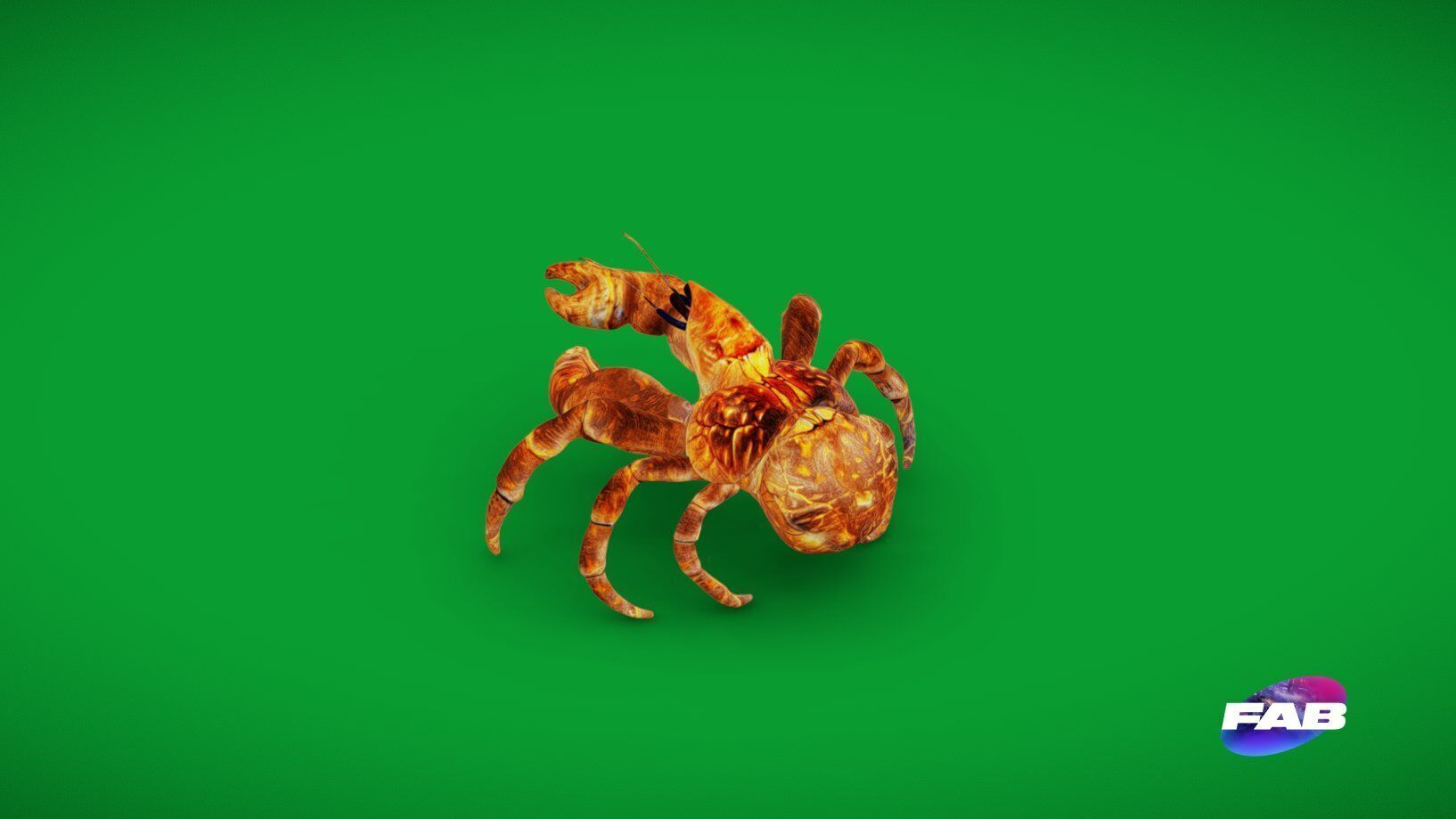 Coconut Crab Low-poly 3D model_30