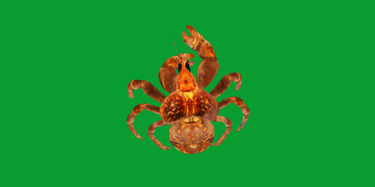 Coconut Crab Low-poly 3D model_6