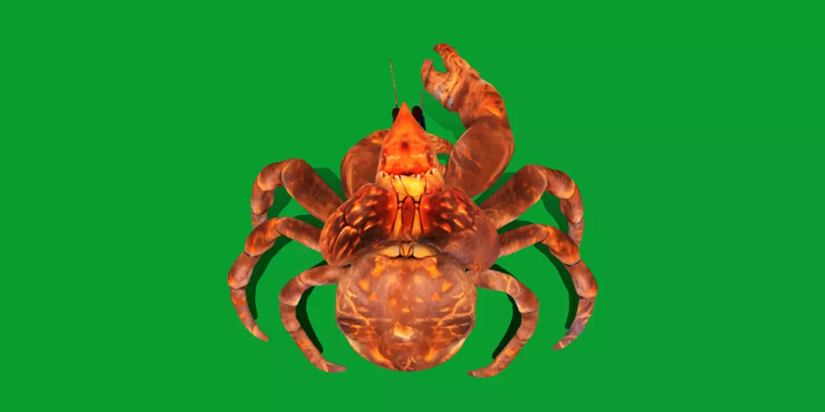 Coconut Crab Low-poly 3D model_0