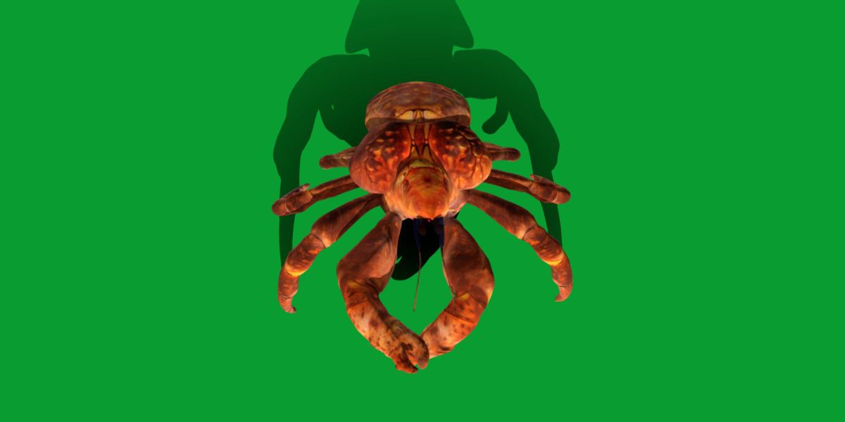 Coconut Crab Low-poly 3D model_25