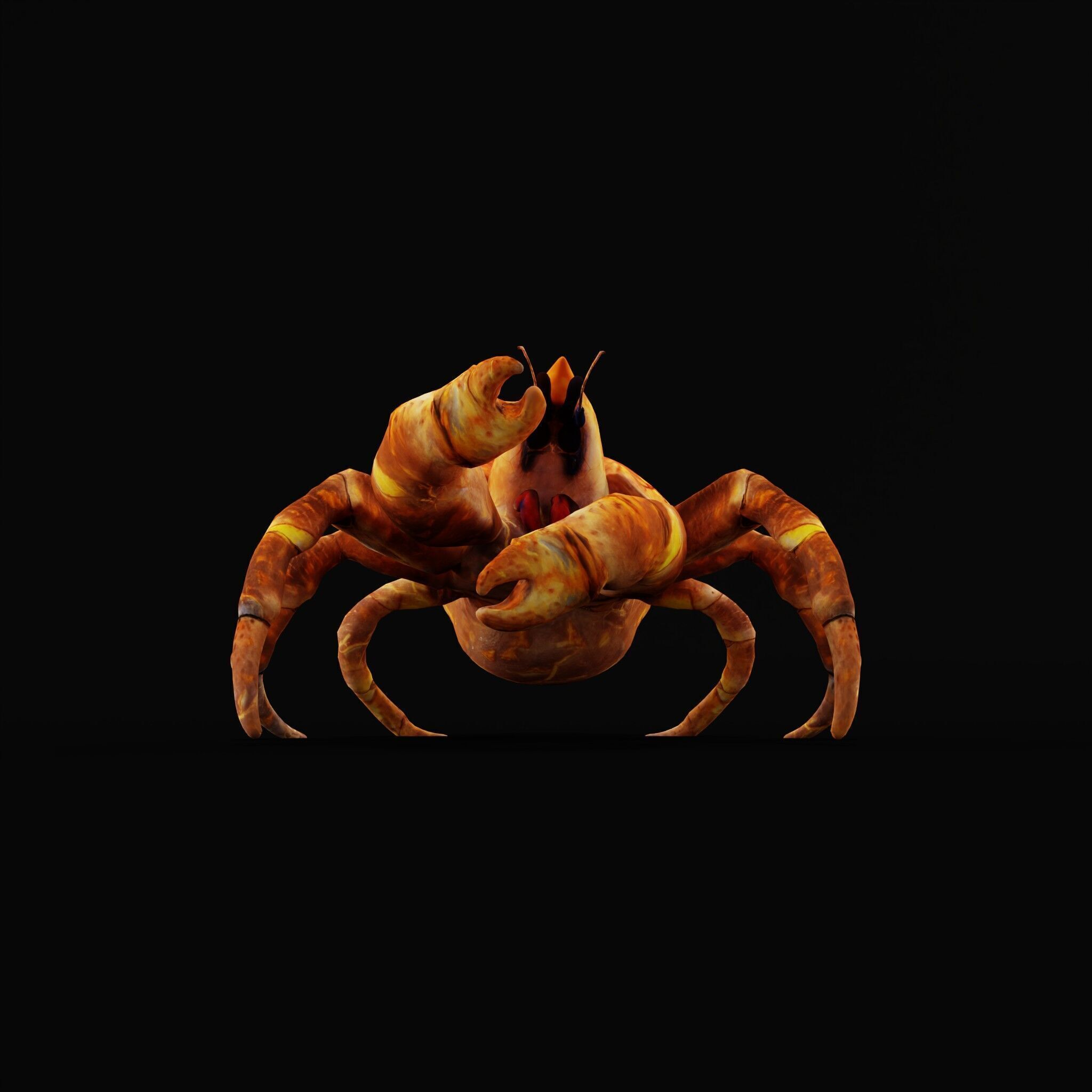 Coconut Crab Low-poly 3D model_39