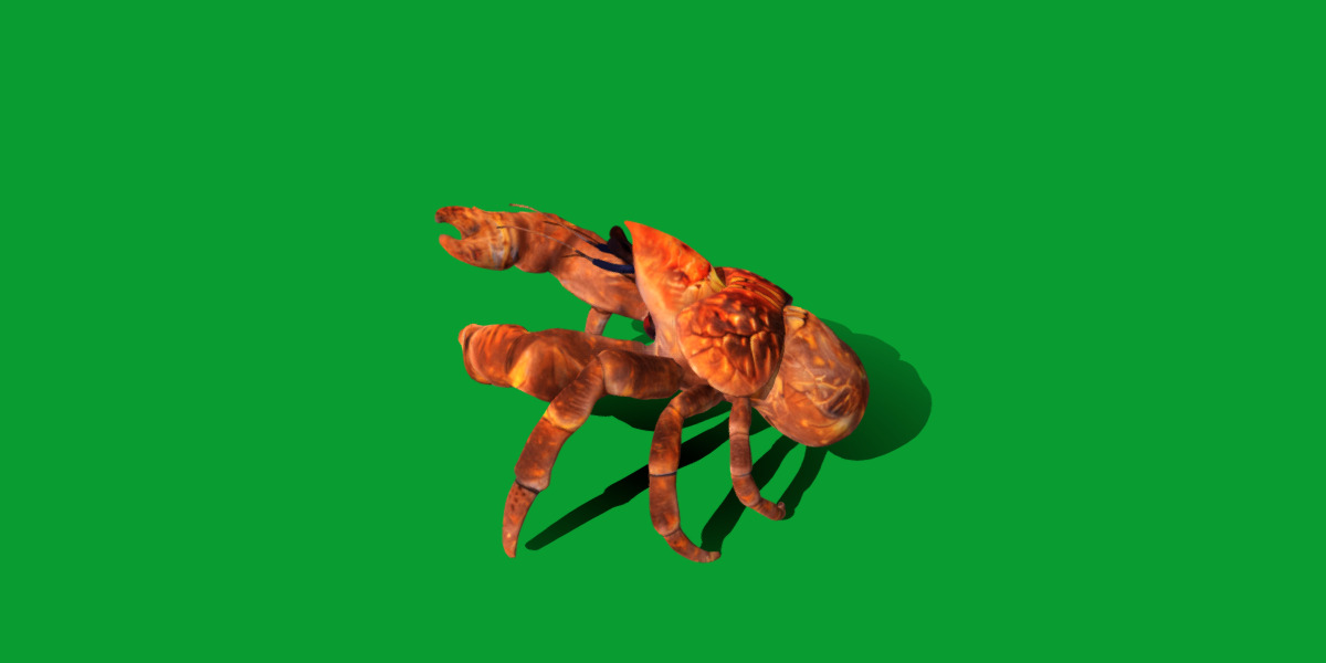 Coconut Crab Low-poly 3D model_3