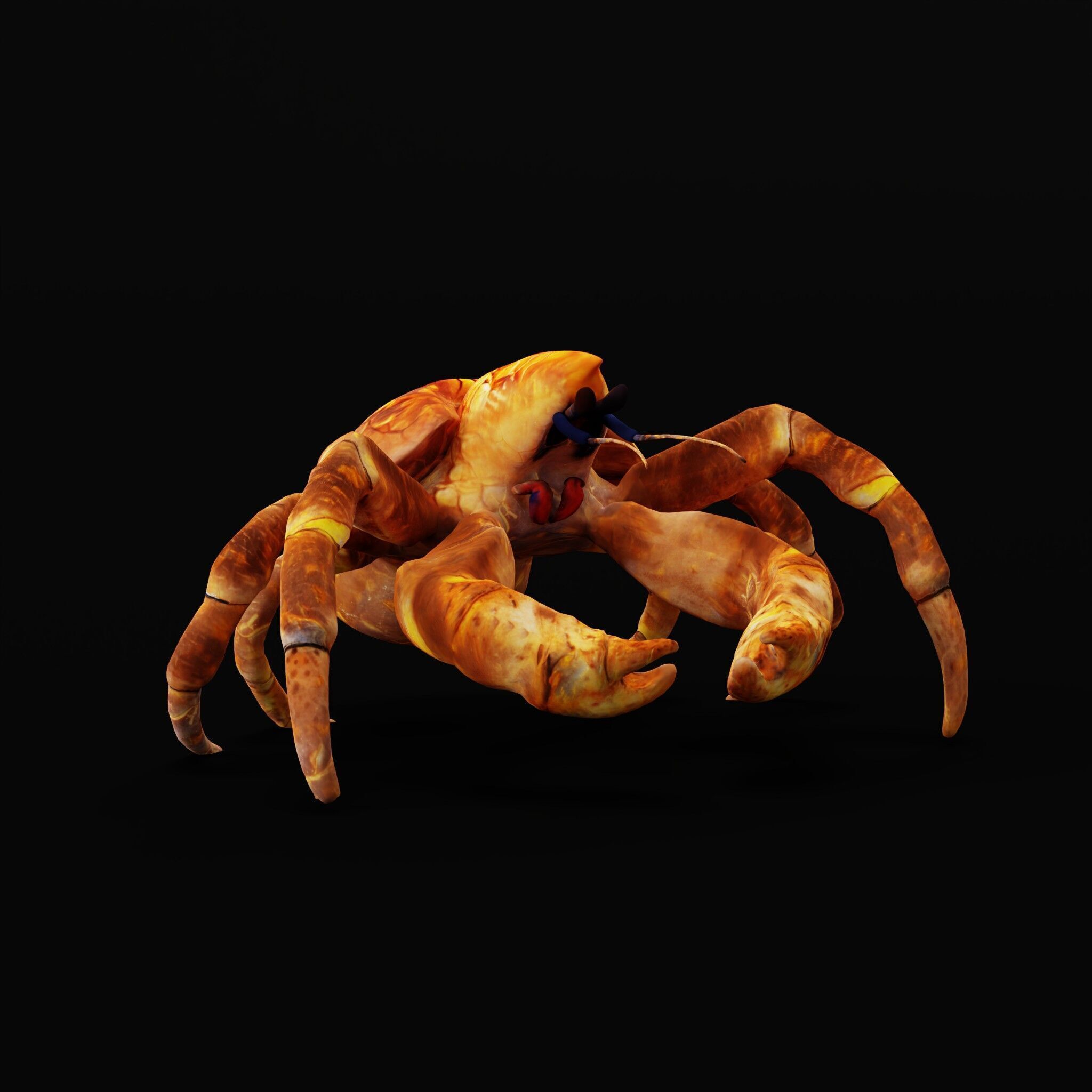 Coconut Crab Low-poly 3D model_35