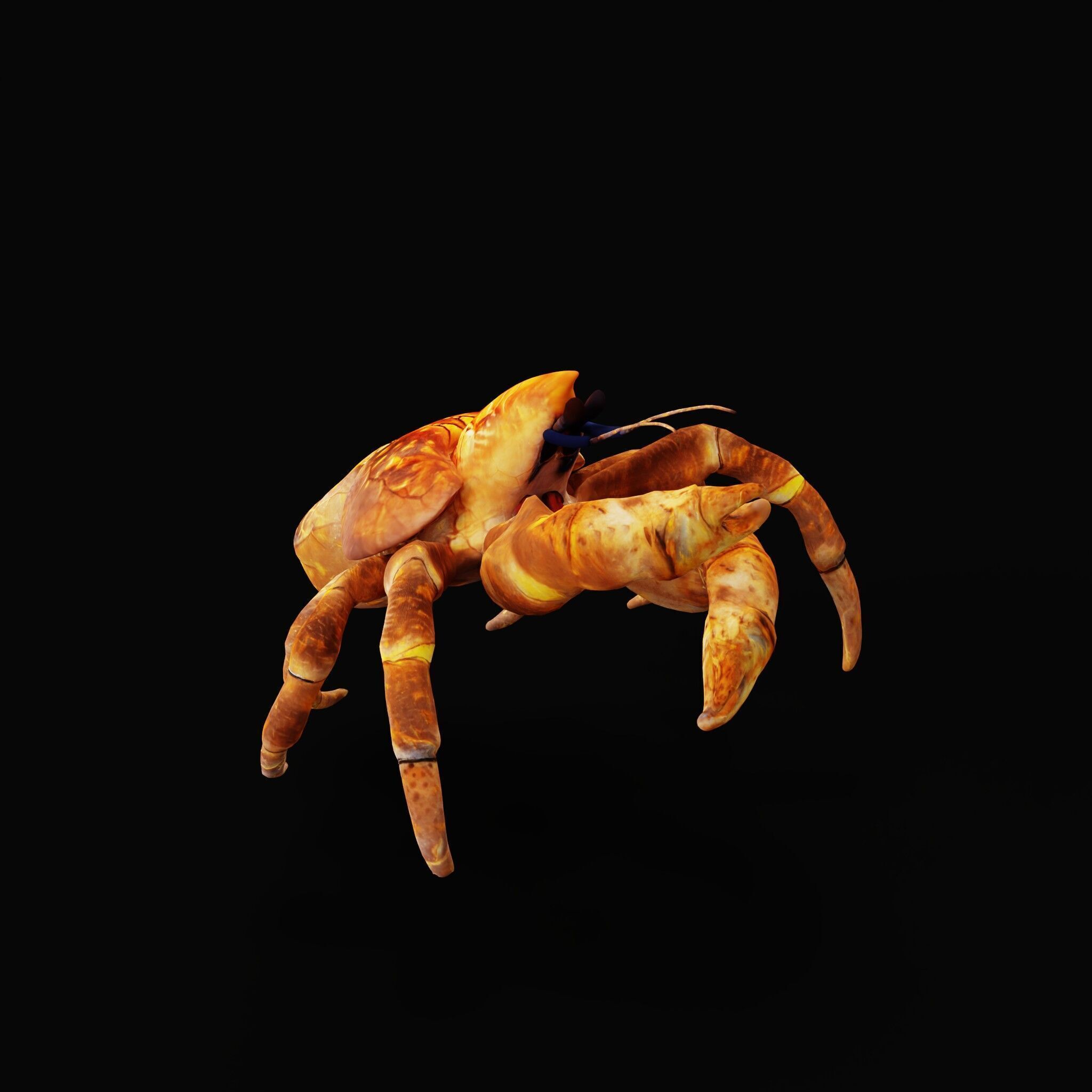 Coconut Crab Low-poly 3D model_37
