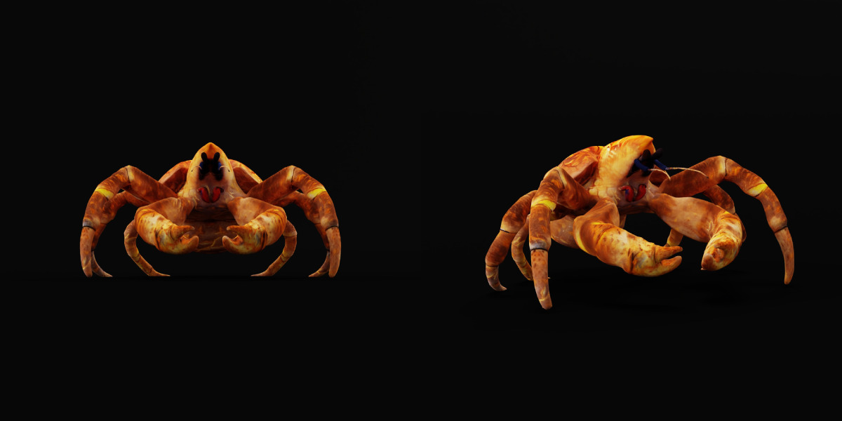 Coconut Crab Low-poly 3D model_24
