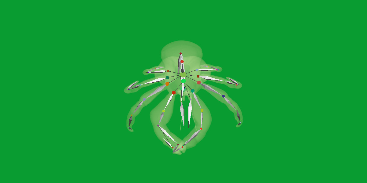 Coconut Crab Low-poly 3D model_26