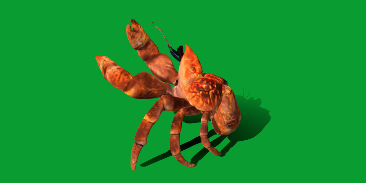 Coconut Crab Low-poly 3D model_19