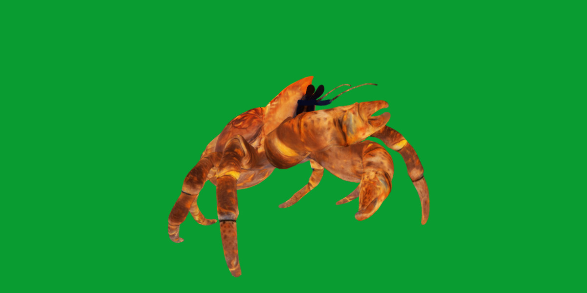 Coconut Crab Low-poly 3D model_22