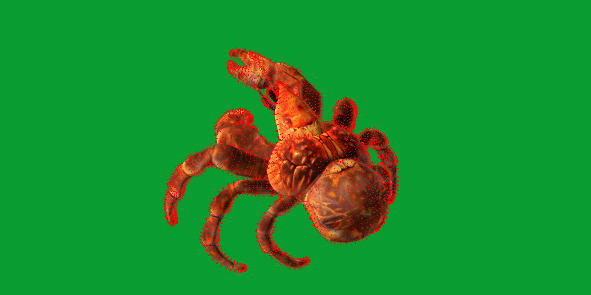 Coconut Crab Low-poly 3D model_15