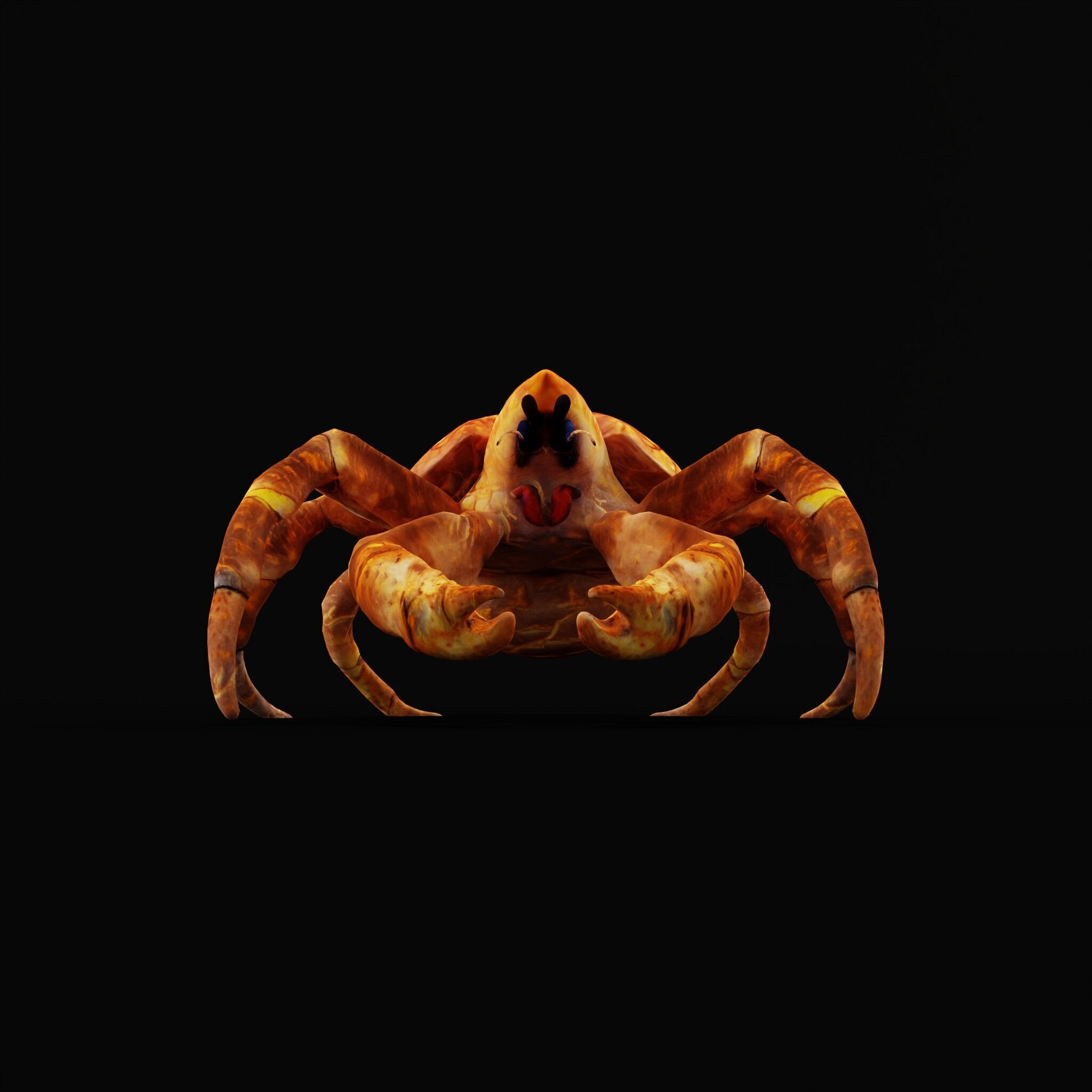 Coconut Crab Low-poly 3D model_34