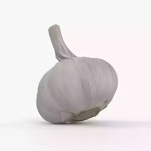 Photorealistic 3D scan of garlic Low-poly 3D model