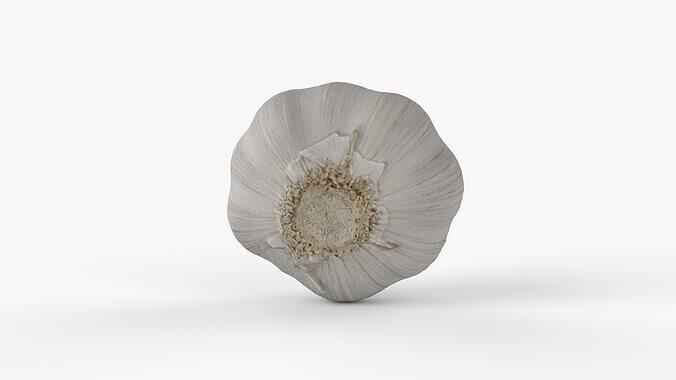 Photorealistic 3D scan of garlic Low-poly 3D model 3