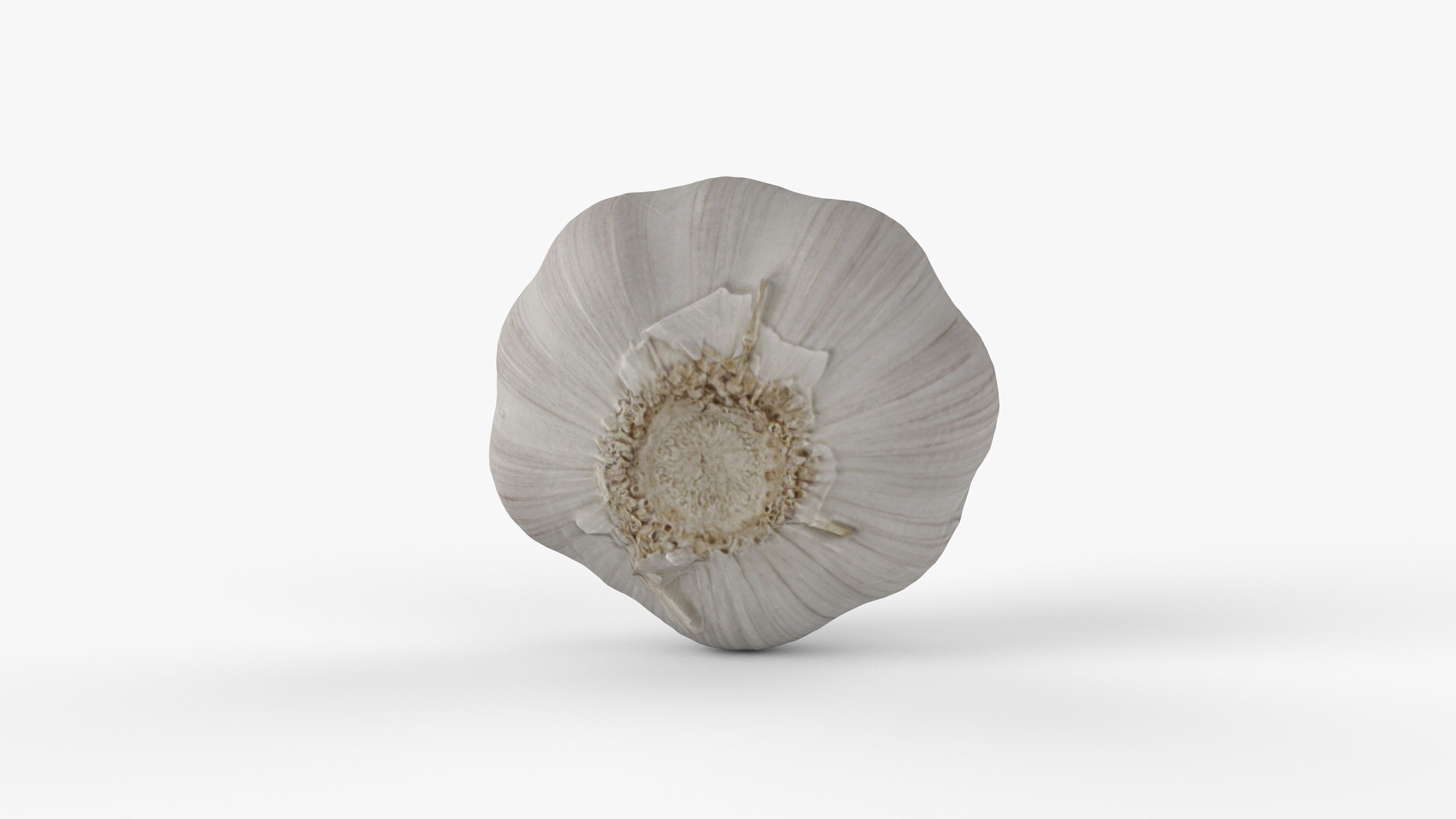 Photorealistic 3D scan of garlic Low-poly 3D model_3
