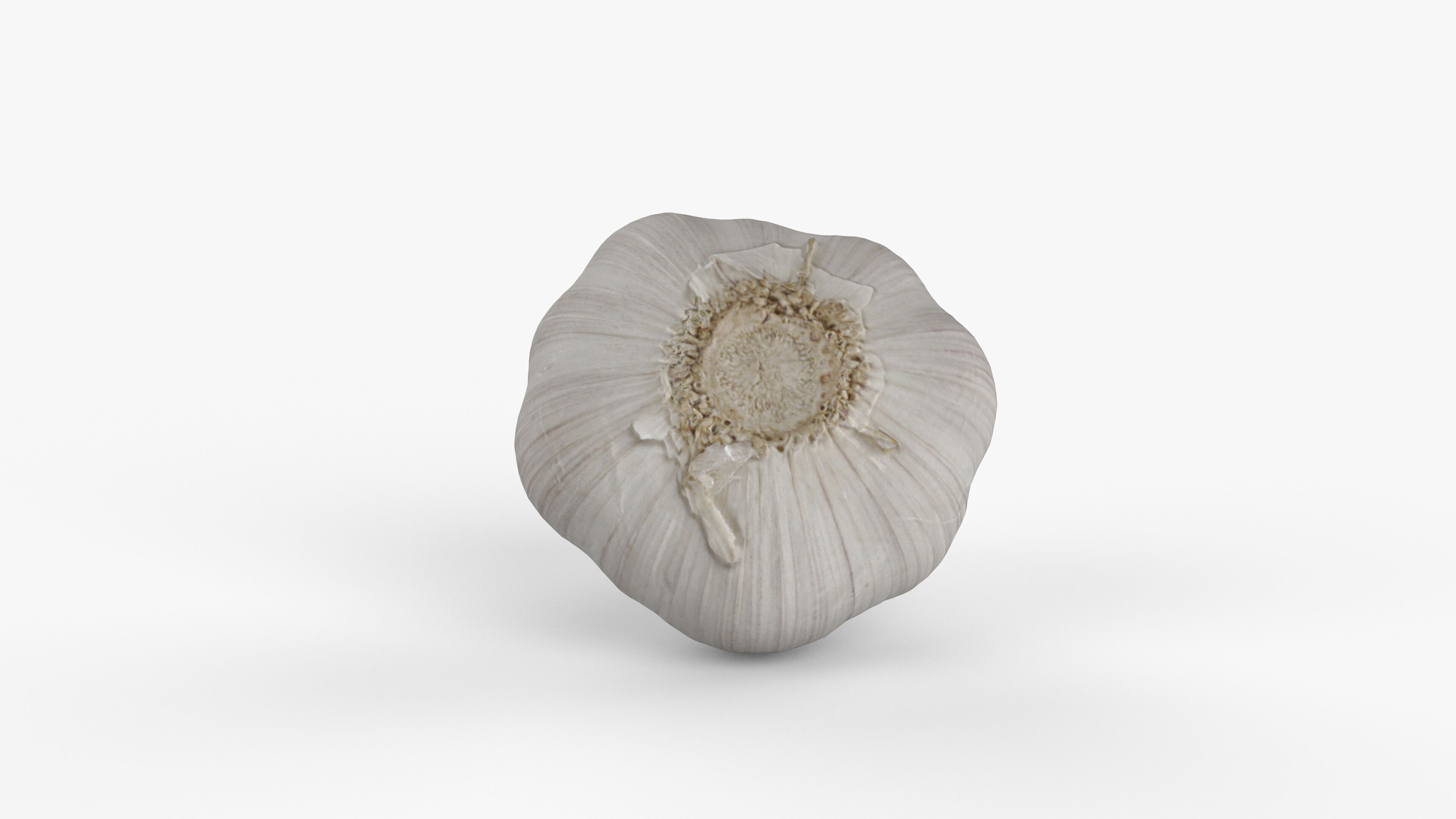 Photorealistic 3D scan of garlic Low-poly 3D model_8