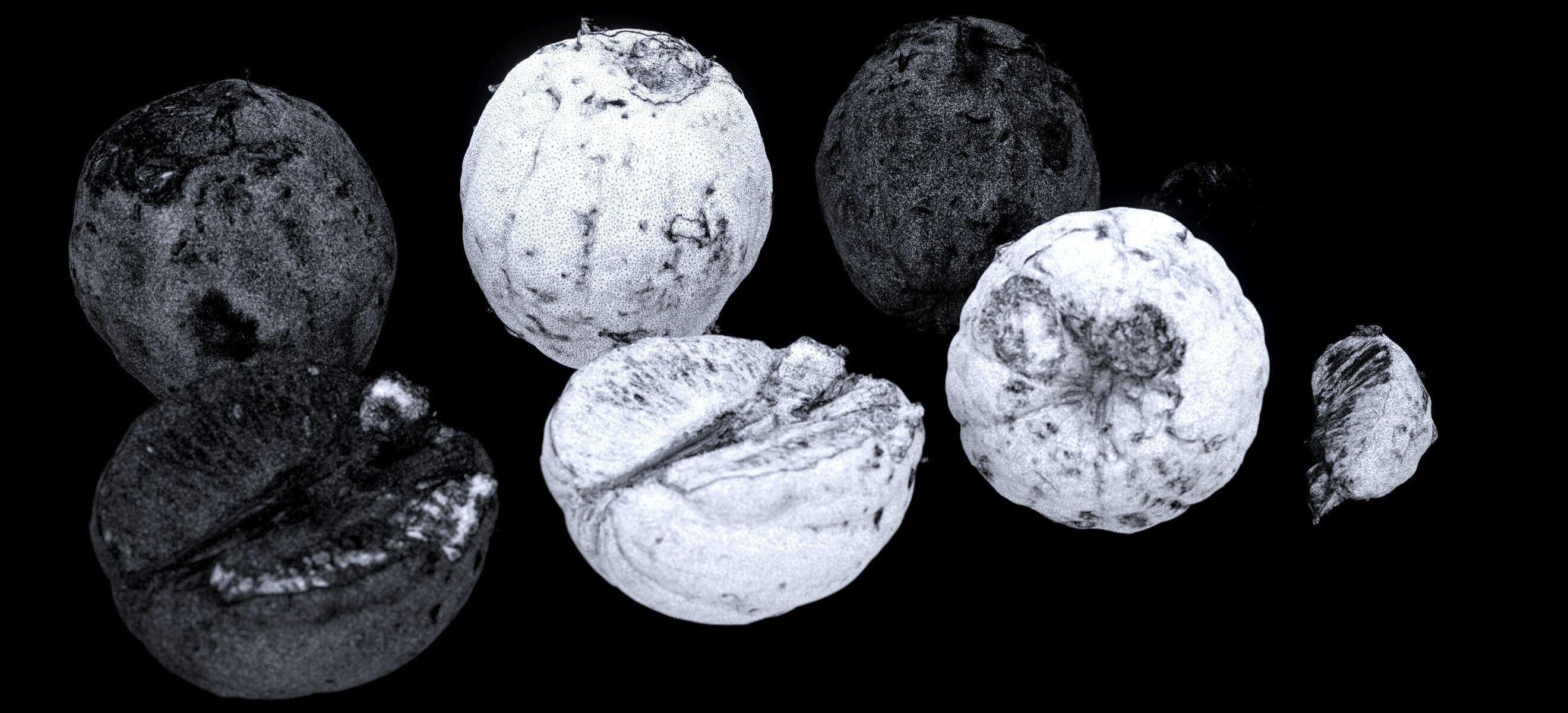 PEEL ORANGE 2024 3D model_16