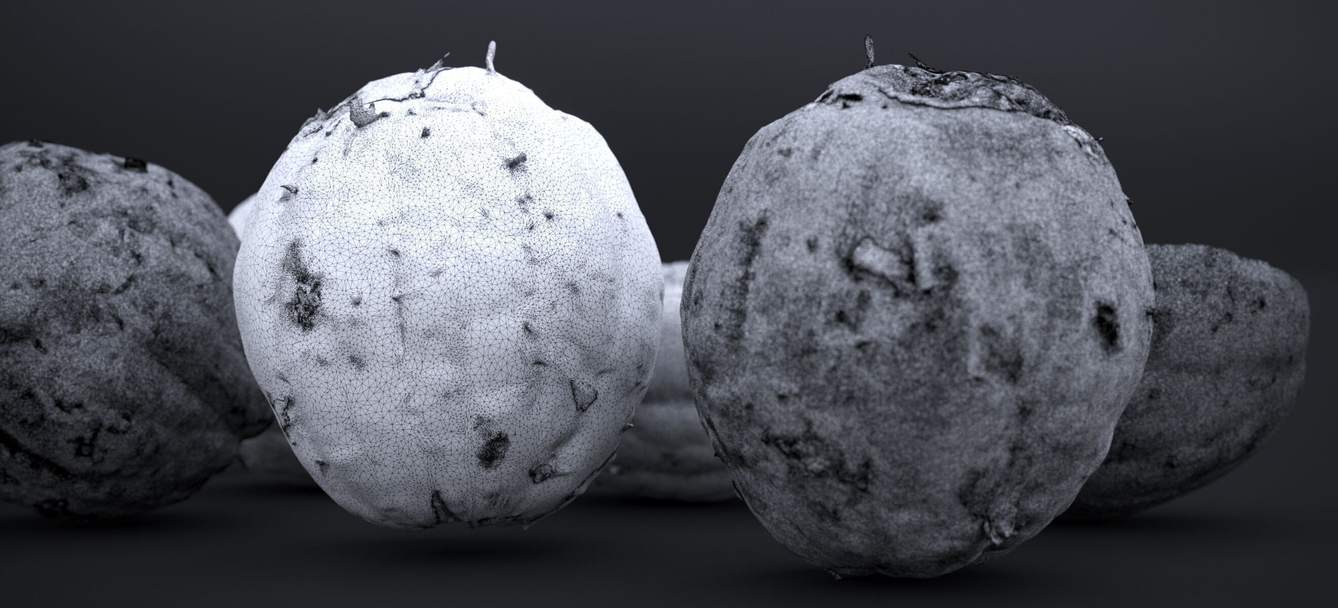 PEEL ORANGE 2024 3D model_26