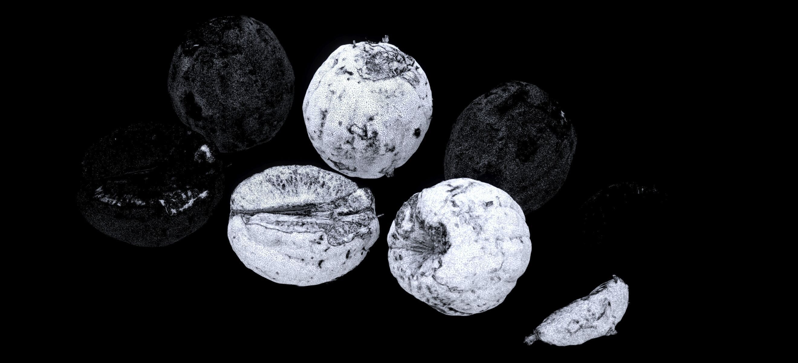 PEEL ORANGE 2024 3D model_18