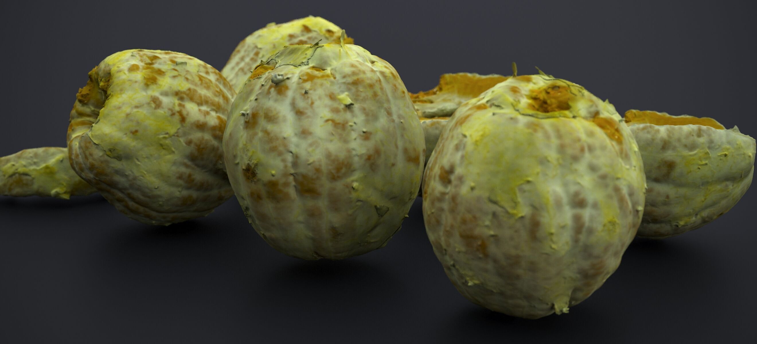 PEEL ORANGE 2024 3D model_6