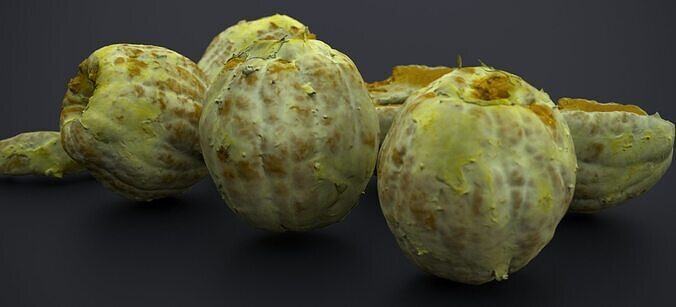 PEEL ORANGE 2024 3D model 7