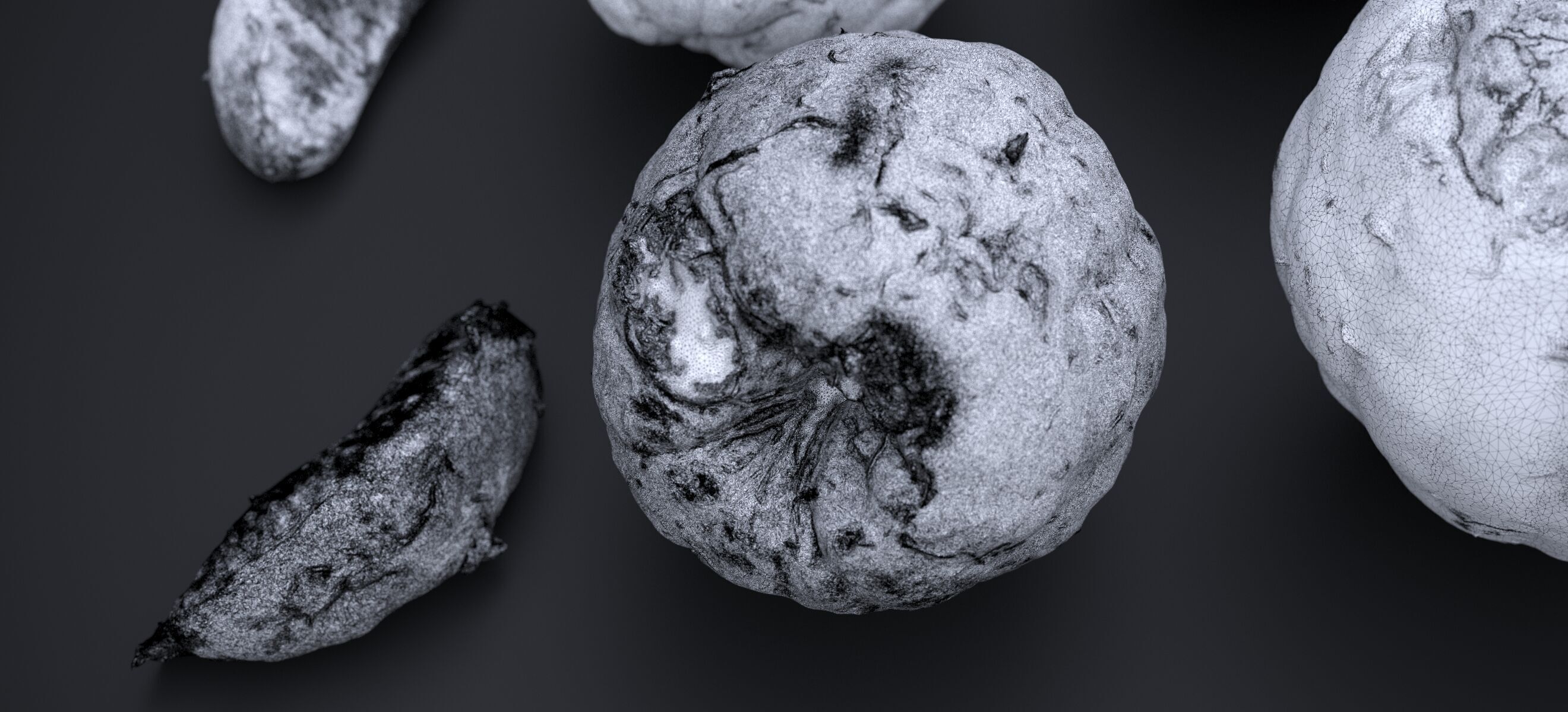 PEEL ORANGE 2024 3D model_31