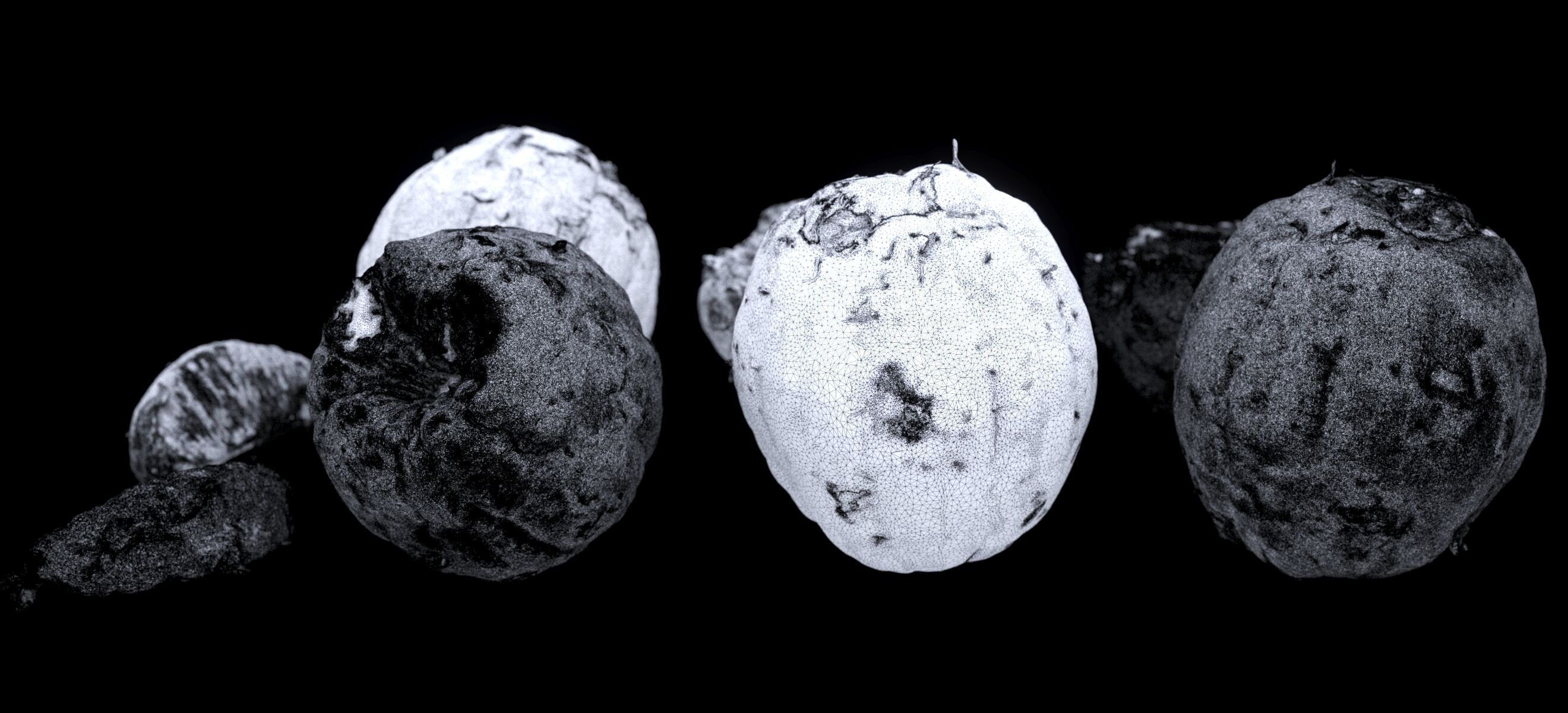 PEEL ORANGE 2024 3D model_20