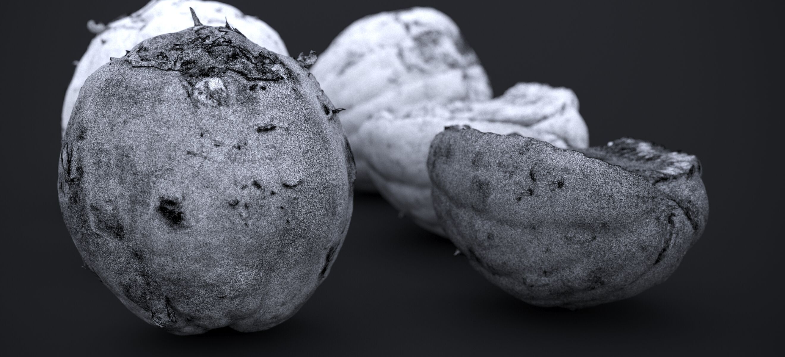 PEEL ORANGE 2024 3D model_27