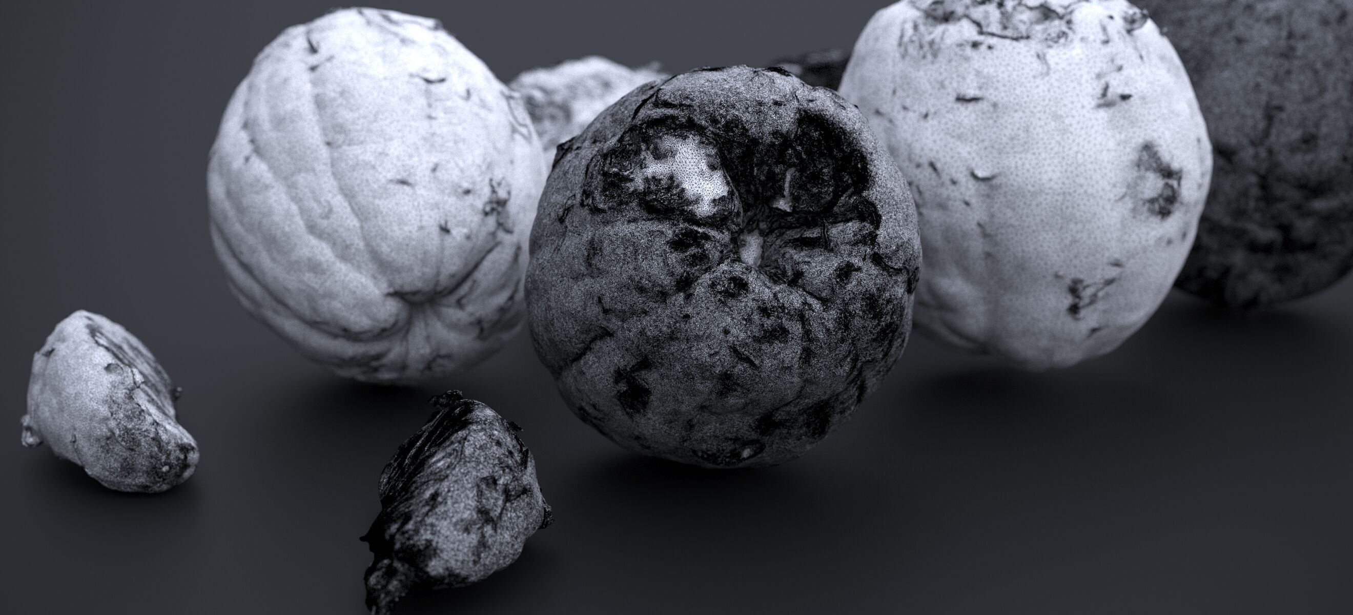 PEEL ORANGE 2024 3D model_25