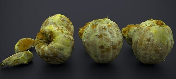 PEEL ORANGE 2024 3D model 5