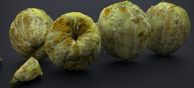 PEEL ORANGE 2024 3D model 6