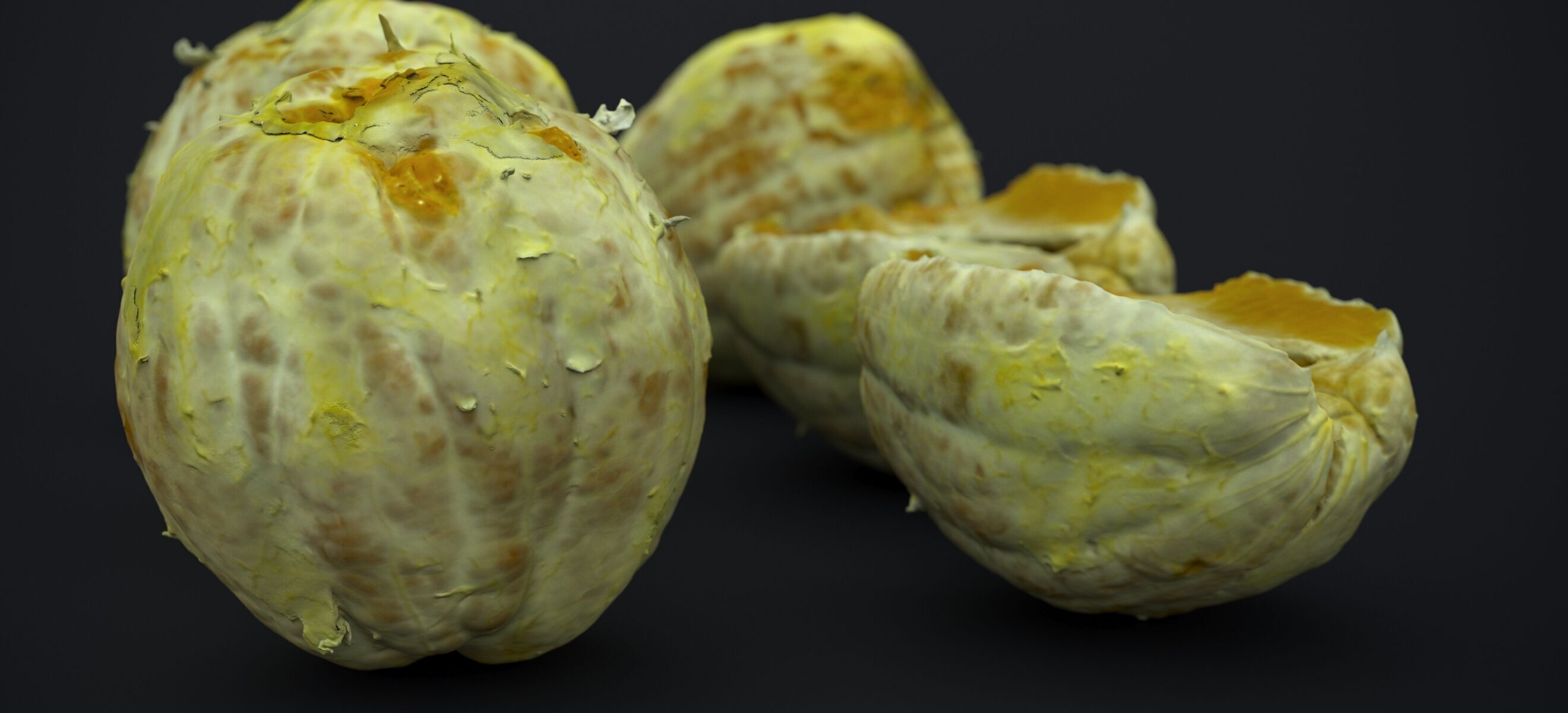 PEEL ORANGE 2024 3D model_11