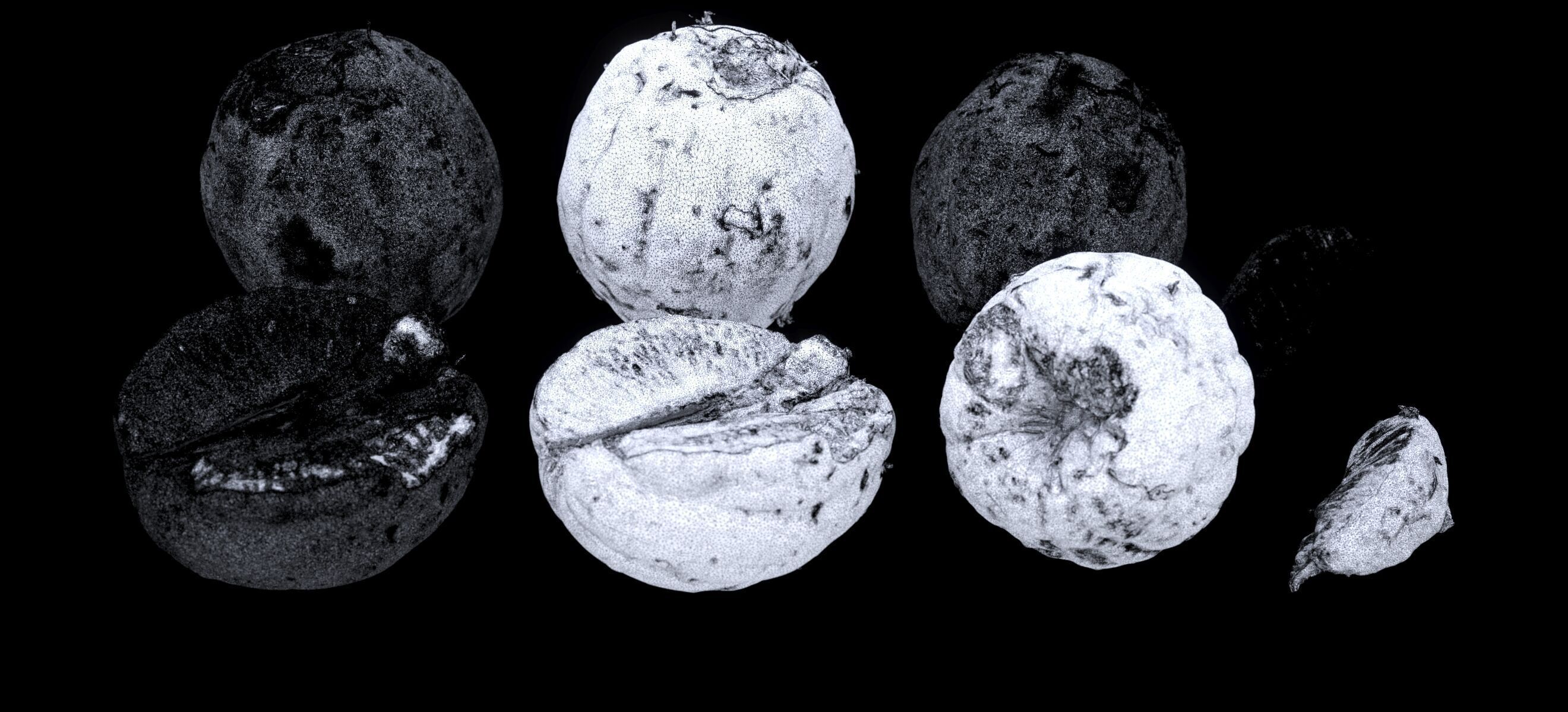 PEEL ORANGE 2024 3D model_17