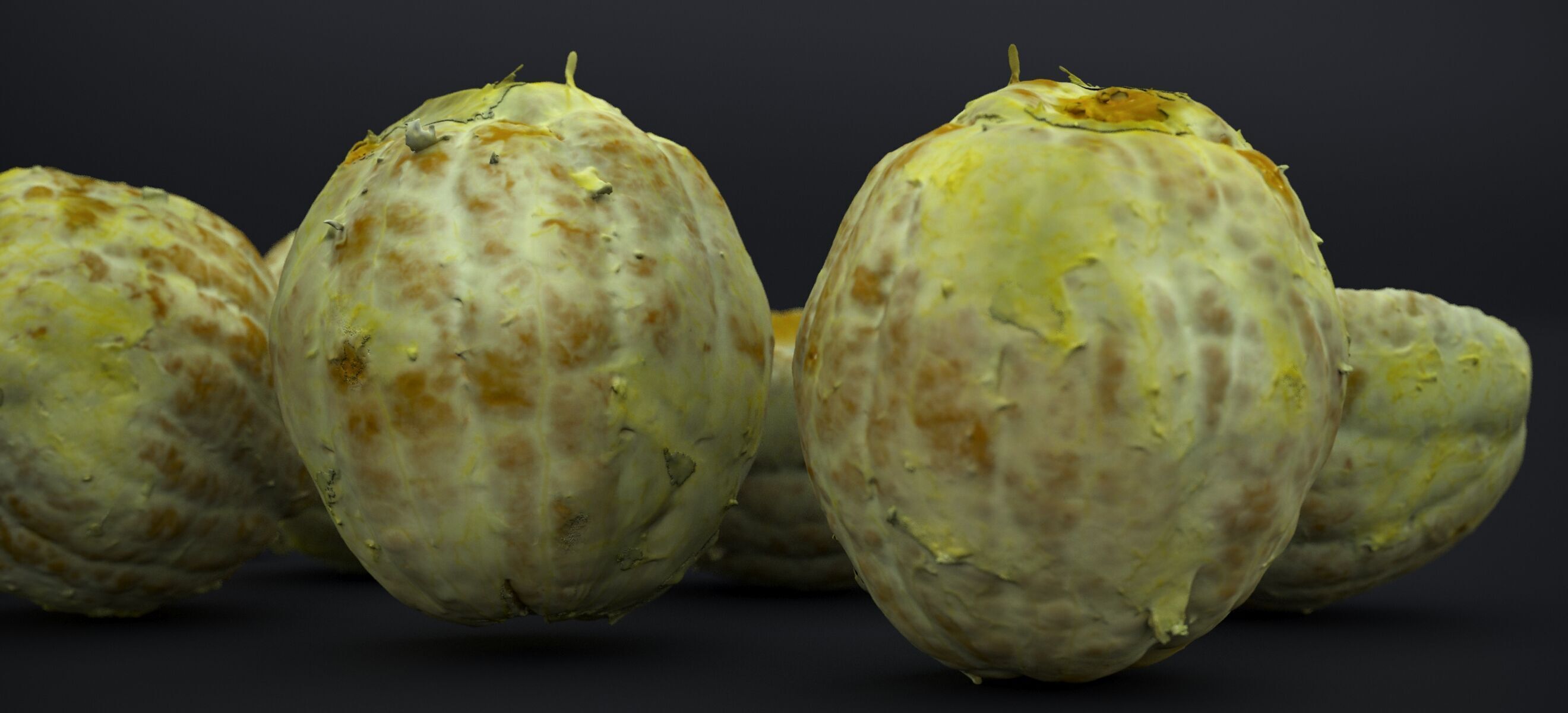 PEEL ORANGE 2024 3D model_10