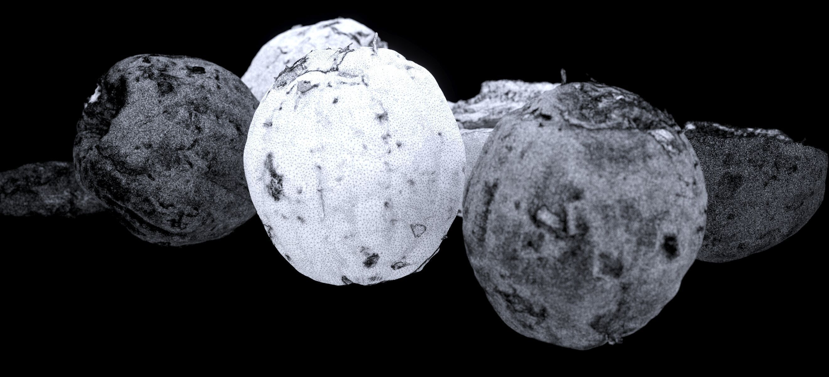 PEEL ORANGE 2024 3D model_22