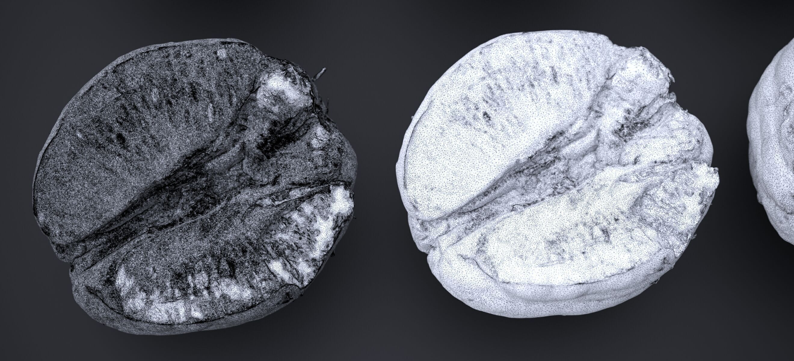 PEEL ORANGE 2024 3D model_28