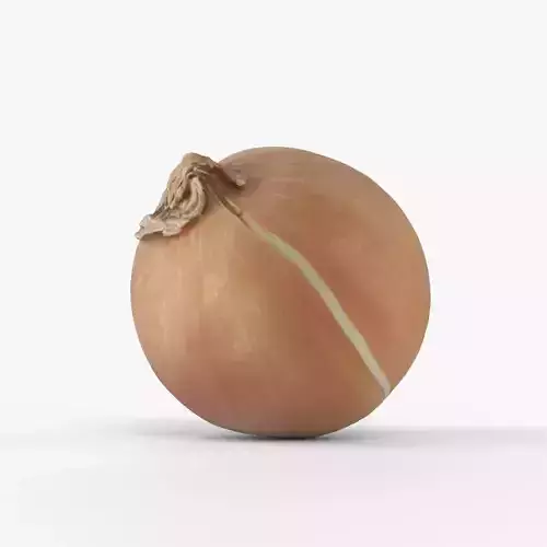 Photorealistic 3D scan of onion Low-poly 3D model