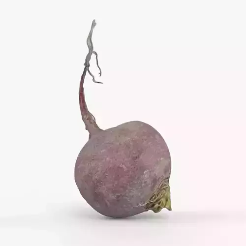 Photorealistic 3D scan of pink radish Low-poly 3D model