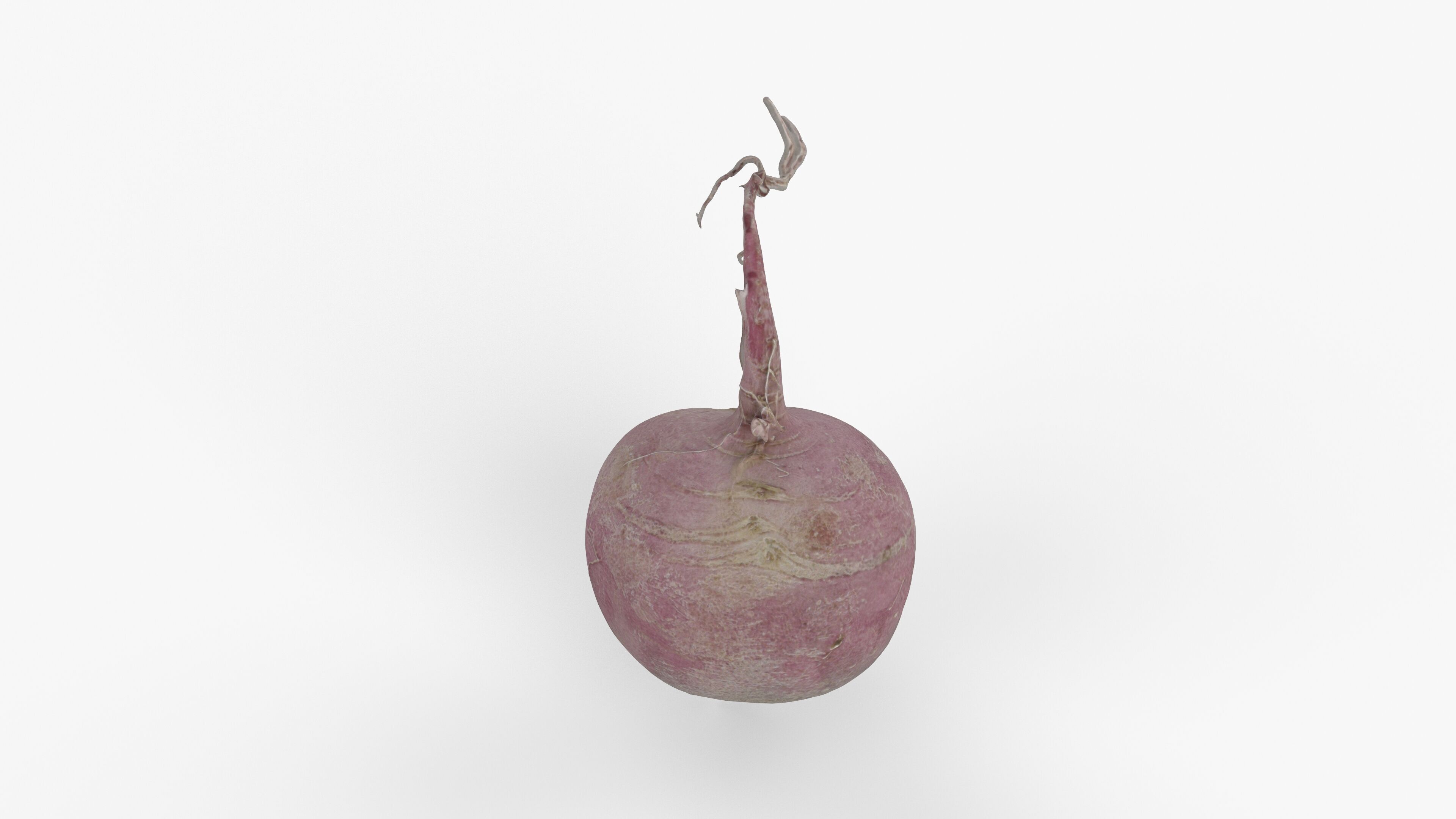 Photorealistic 3D scan of pink radish Low-poly 3D model_13